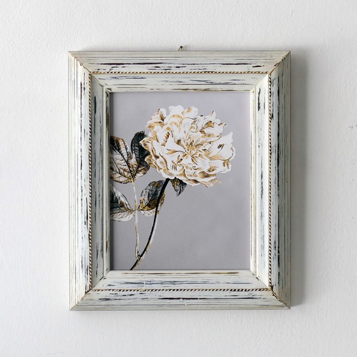 Quadro peonia bianca, cornice bianca decapata oro 1